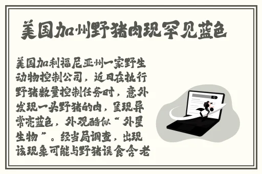 独家猛料-曝光揭秘吃瓜视频